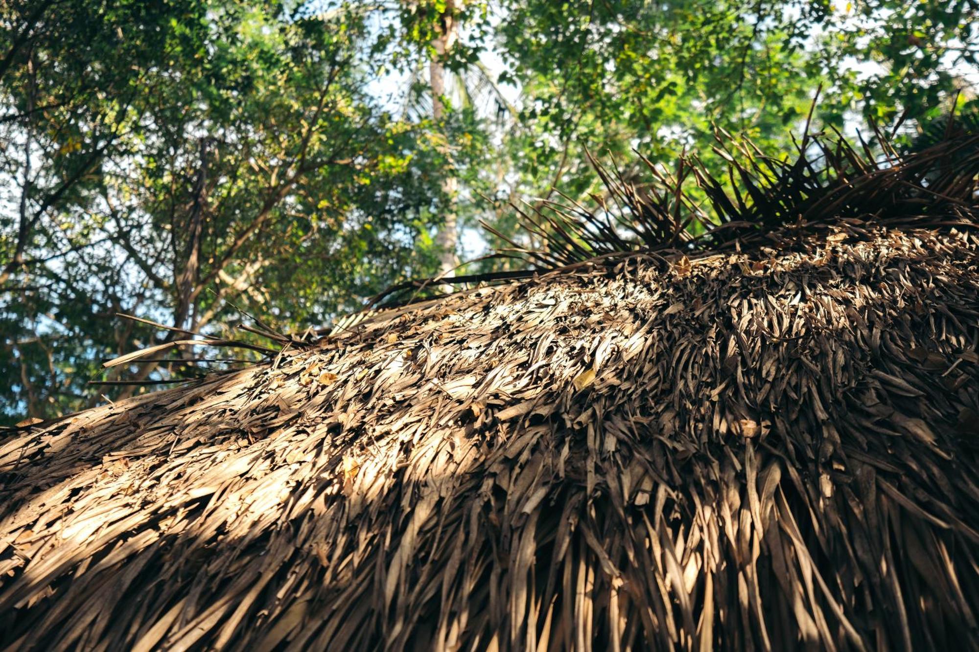 Junto Al Rio Bungalows & Suites Саюлита Екстериор снимка