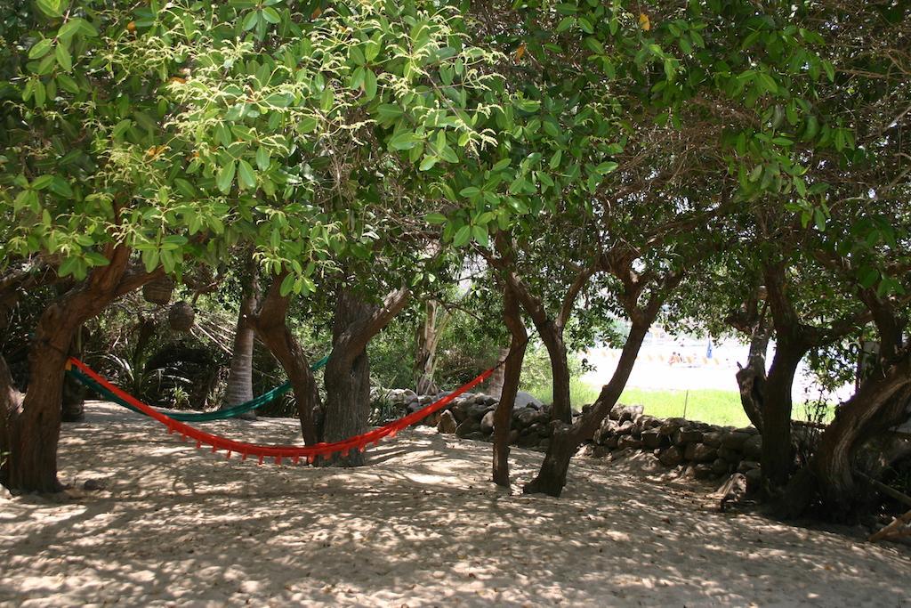 Junto Al Rio Bungalows & Suites Саюлита Екстериор снимка